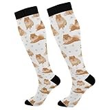 Wusikd Pomeranian Compression Socks for Women and Men Circulation Dog Long Socks for Athletic Running 1