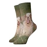 Clumber Spaniel Puppies Tube Socks Elastic Compression Sock 12 Inch Casual Sport Socks For Men And Women