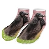 Afghan Hound Dog Unisex Ankle Socks Unisex Crew Low Cut Funny Print Athletic Sports Stocking