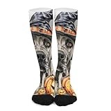 iiceop Halloween Great Dane Dog Crew Socks for Men Women Socks for Hiking Sports Running