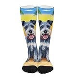 iiceop Cute Kerry Blue Terrier Dog Summer Crew Socks for Men Women Casual Socks for Soccer Running Hiking