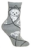 WHD Maltese Puppy Dog Gray Large Cotton Socks