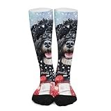 iiceop Smiling Portuguese Water Dog Crew Socks for Men Womens Socks for Soccer Running Hiking