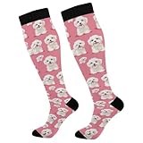 CWUPZAY Maltese Dogs Compression Sock for Women & Men fashion Support Knee High Socks Running,Nurses,Travel