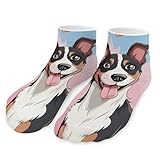 MNVTSKOP Socks Rat Terrier Dog Printed Running Sports Sock Soft Short Sock Moisture-Wicking Sock Ankle Socks Low Cut Sock for Women Men