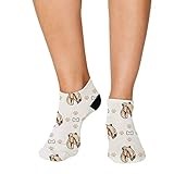 Lakeland Terrier thumbnail