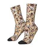 Cairn Terrier Lover Socks for Women Men, Lovely Pug Dog Crew Socks, Gift for Cairn Terrier Mom / Owner