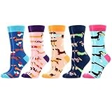 WeciBor Women's Funny Cute Pattern Casual Socks, 5 Pack Multicolor Dachshund, Size 8-12