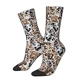 Catahoula Leopard Socks for Women Men, Funny Dog Face Print Crew Socks, Gift for Dog Lover / Mom / Owner