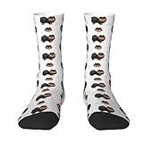 Funny Novelty Socks Pomeranian German Spitz Dog Camping Crew Sock