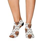 Style In Print No Show Socks Rhodesian Ridgeback Dog Zigzag Polyester Ankle Socks Women & Men Crazy Fun Socks 1 Size