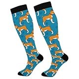 susiyo Basenji Puppy Cartoon Compression Socks for Women and Men Knee High Support Socks for Athletic Running Hiking Travel
