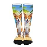 iiceop Summer Basenji Dog Smiling on Beach Crew Socks for Men Women Casual Socks for Soccer Running Hiking