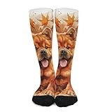 Huryilo Dog fall Womens Crew Socks Chow Chow Dog Pumpkin Dress Socks Mid Calf Socks