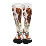 iiceop Cute Welsh Springer Spaniel Dog Fall Crew Socks for Men Women Casual Socks for Soccer Running Hiking