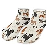 PUYWTIY Womens Novelty Ankle Sock Lightweight Breathable Low Cut Socks Affenpinscher Airedale Terrier Australian Cattle Dog Elastic No Show Sock for Running Workout