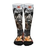 iiceop Fall Kerry Blue Terrier Dog Crew Socks for Men Womens Socks for Soccer Running Hiking