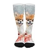 iiceop Watercolor Smiling Pomeranian Dog Crew Socks for Men Women Casual Socks for Soccer Running Hiking