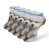 AQRJLPM Bichon Frise Dog Socks No Show Socks Low Cut Anti-Slid Athletic Casual Invisible Liner Socks Unisex