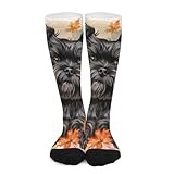iiceop Cute Affenpinscher Dog Crew Socks for Men Womens Socks for Soccer Running Hiking
