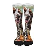 Huryilo Dog Autumn Crew Socks for Men Welsh Springer Spaniel Dog Pumpkins Mens Socks