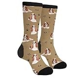 Funny Cavalier King Charles Spaniel Dog Novelty Crew Socks Casual Crazy Funny Dress Socks For Women Men Teens Gift