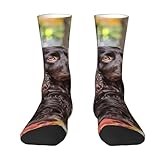 Xsovgoi Boykin Spaniel Dog Crew Socks Novelty Socks Athletic Calf Socks For Adult Men Women