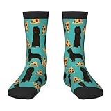 Xoeiran Cute Boykin Spaniel Dog Pizza Slices Food Long Socks For Kids Children Girls Boys-Novelty Funny Dress Cute Crew Mid-Calf Socks-Halloween Christmas Stockings Costumes Gifts