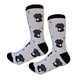 Black Labrador Retriever Dog Breed Socks Unisex Sock Daddy by E&S Pets