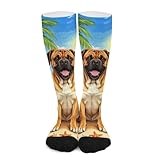 iiceop Summer Bull Mastiff Dog Crew Socks for Men Womens Socks for Soccer Running Hiking