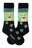 Sabyloo Rhodesian Ridgeback Crew Socks Unisex Green