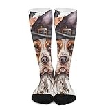 iiceop Halloween Welsh Springer Spaniel Dog Crew Socks for Men Women Socks for Hiking Sports Running