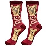 E&S Pets Pet Lover Socks, Life is Better with a Yorkie, Yorkshire Terrier