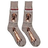 Foozys Mens Crew Socks | Cute Dog Dad Funny Gift for Canine Pet Novelty | 1 Pair - Great Dane
