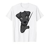 Patterdale Terrier T-Shirt