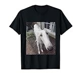 Funny Borzoi Long Nose Dog Meme T-Shirt