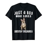 Im Just A Boy Who Loves Swedish Vallhunds Dog Lover Gift T-Shirt
