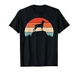 Bracco Italiano Dog Sunset Vintage Retro Gift For Women Men T-Shirt