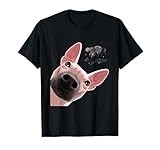 Dog Curious American Hairless Terrier T-Shirt for Men Women Kids