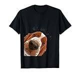 Curious Welsh Springer Spaniel Dog T-Shirt for Men Women Girls Kids