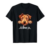 Irish Terrier thumbnail