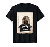 Weimaraner thumbnail