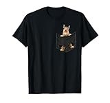 Funny Berger Picard dog in Pocket Berger Picard Lovers T-Shirt for Men Women Girls Kids