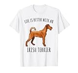 Irish Terrier thumbnail