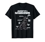 Flat Coated Retriever thumbnail