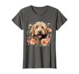 Goldendoodle thumbnail