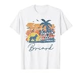 Briard Life is Better Vintage Sunset T-Shirt