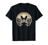 Cardigan Welsh Corgi thumbnail