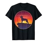Picardy Shepherd Berger Picard Sunset T-Shirt