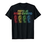 Cool Retro Groovy Perro De Presa Canario Dog T-Shirt for Men Women